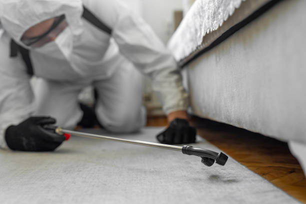 Professional Termite Control technician working in Lafayette, IN