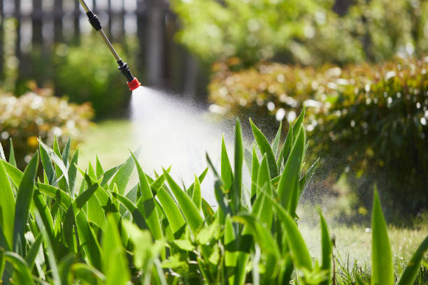 24/7 Emergency Termite Control experts in Lafayette, IN