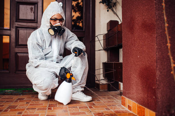 Reliable Termite Control contractor in Lafayette, IN by Nex Pest Control
