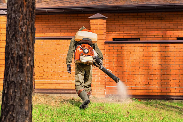 Top rated local Termite Control specialists in Lafayette, IN